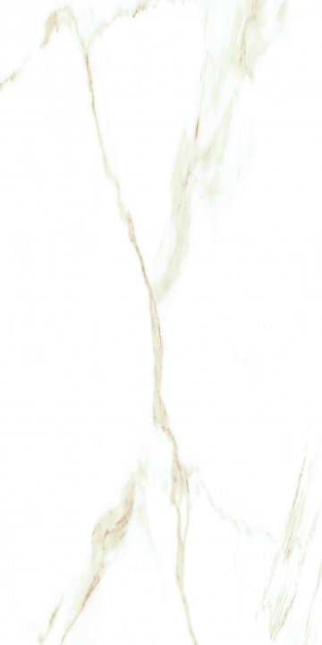 PORCELAIN TILE CALACATTA ORO MATTE 12