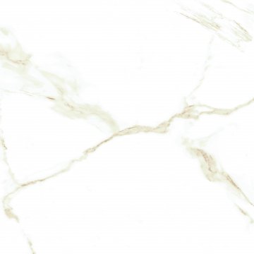 PORCELAIN TILE CALACATTA ORO GLOSSY 24